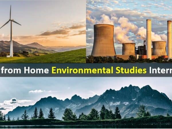 Work From Home Internships for Environmental Studies Students